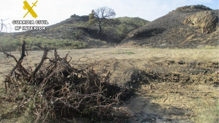 Restos del incendio forestal de Zarcilla de Ramos en una imagen de la Guardia Civil