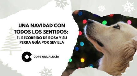 Un paseo Navideño con todos los sentidos