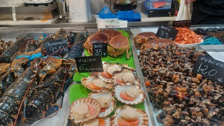 Marisco en el mercado de la Plaza de Lugo