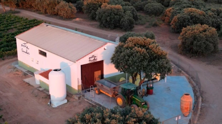 Bodegas Entrelindes