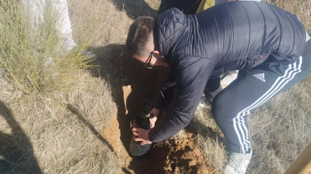 Nace Reforestapp, la app de un grupo de estudiantes andaluces para no perder de vista los árboles plantados