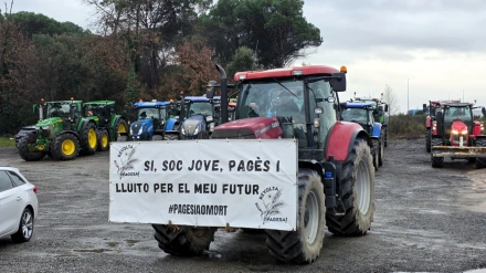 Según los ganaderos, esta situación ha puesto "en riesgo a toda la ganadería del Alt Pirineu", donde cada año se producen "dos o tres vaciados sanitarios"