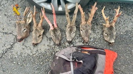 Los detenidos se desprendieron de una mochila con seis cabezas de corzo