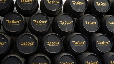 11/12/2024 Botas de vino manzanilla de la Bodega Delgazo Zuleta en Sanlúcar de Barrameda (Cádiz)POLITICA JUNTA DE ANDALUCÍA