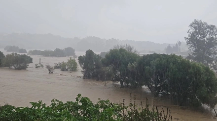 Desbordamientos y carreteras cortadas en el Campo de Gibraltar por la borrasca Francis