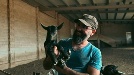 Rodrigo y las cabra Verata