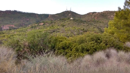 El Bartolo es la cima del Desierto de las Palmas por donde discurrirá por primera vez una etapa de la Vuelta a España que celebra el diputado autonómico, Luis Martínez