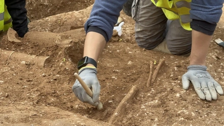 Hallazgo arqueológico en la calle Doctor Fedriani