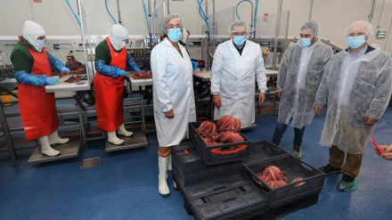 El empresario Conrado Merino(I) junto a la  presidenta de la Diputación, Ángeles Armisén(2I), acompañada del diputado de Desarrollo Socioeconómico, Francisco Pérez(D), en una visita institucional a la empresa Merpacífico