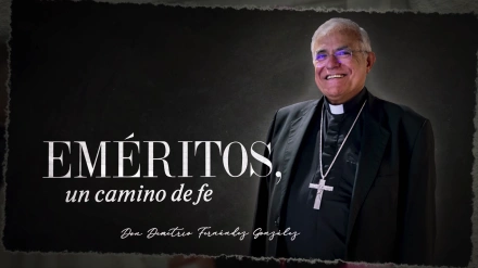EMÉRITOS: D. Demetrio Fernández, obispo emérito de Córdoba