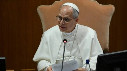 El papa en el consistorio