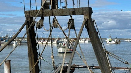 José Carlos Macías, técnico Cofradía de Pescadores de Sanlúcar