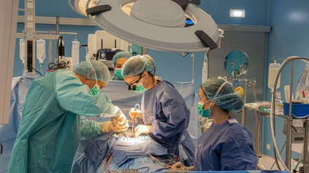 Operacion quirurgica en Gipuzkoa.