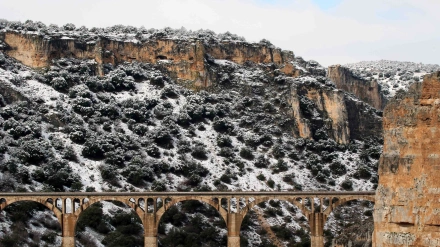 Refugio de Rapaces de Montejo