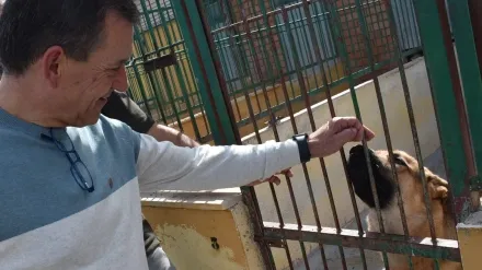 Albergue provincial de animales