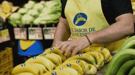 Plátano de Canarias