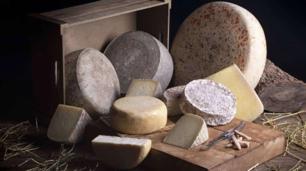 La elaboración de quesos es una de las vías de negocio en el medio rural