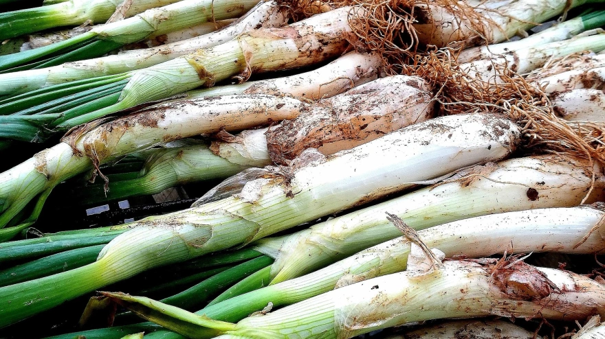 Para completar el bocadillo, se cocina una butifarra fresca también a la brasa.