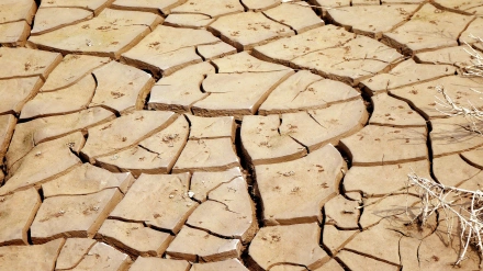 sequía