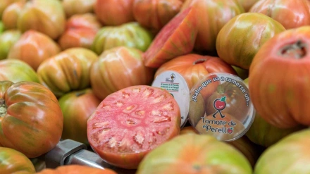 Tomate de El Perelló