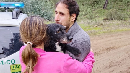 El perro Boro es capturado tras más de tres días extraviado en el lugar del accidente ferroviario.REMITIDA / HANDOUT por INFOCAFotografía remitida a medios de comunicación exclusivamente para ilustrar la noticia a la que hace referencia la imagen, y citando la procedencia de la imagen en la firma22/1/2026