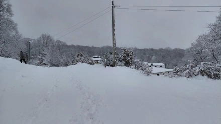 Vista del municipio de Pedrazales de Sanabria (Zamora), cubierto este viernes por un manto de nieve