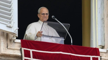 El Papa durante el Ángelus