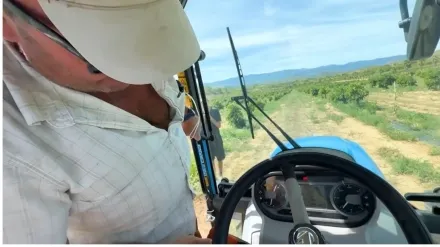 Captura de pantalla del canal @Archieted0