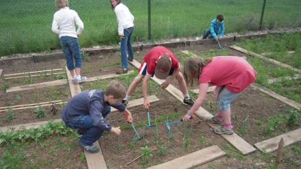 Niños aprenden las labores de un huerto