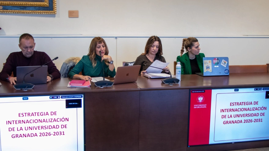 Proyecto de internacionalización