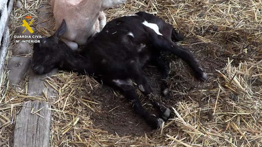 “De la granja a la mesa”