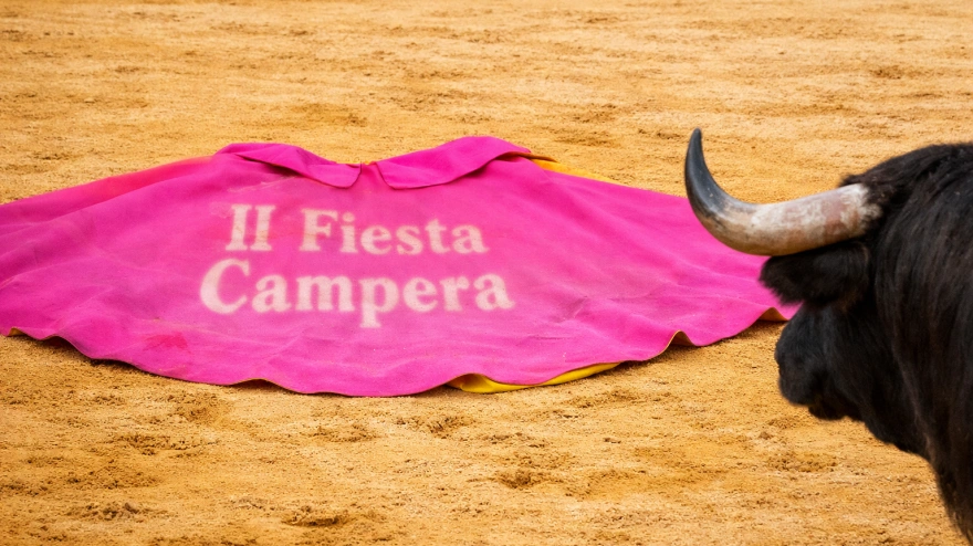 Segunda Fiesta Campera