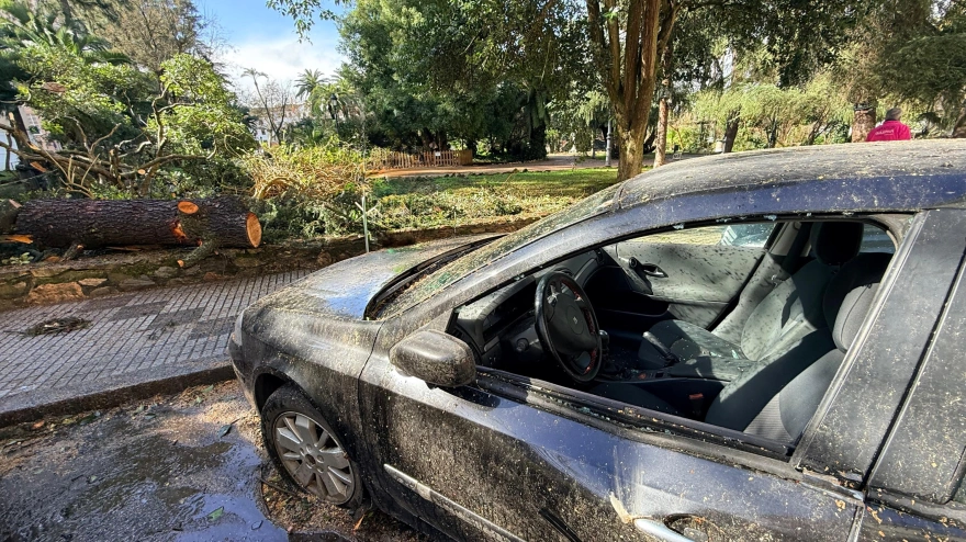 Automóvil dañado por la caída de un árbol en Castelar