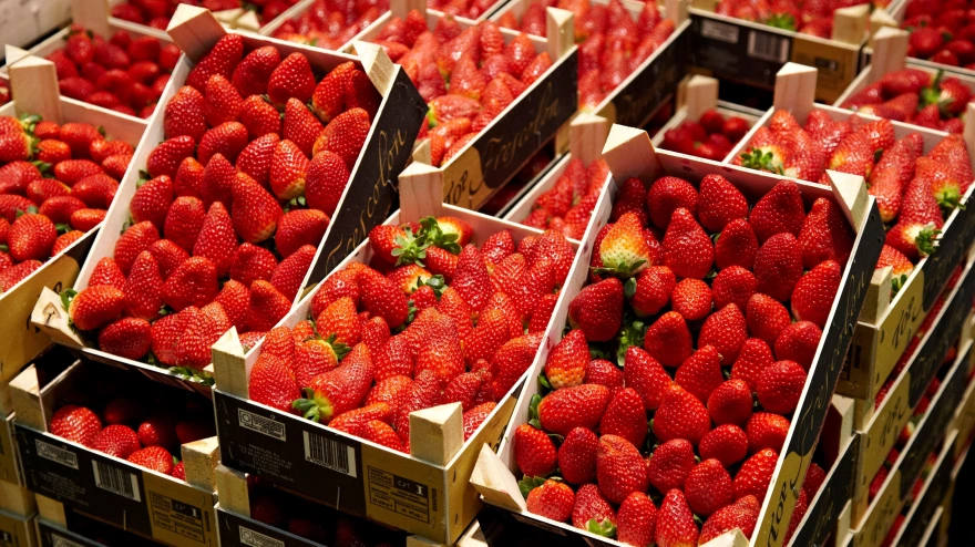 Fresas a la venta en el mercado de Mercabilbao, en Basauri (Bilbao)