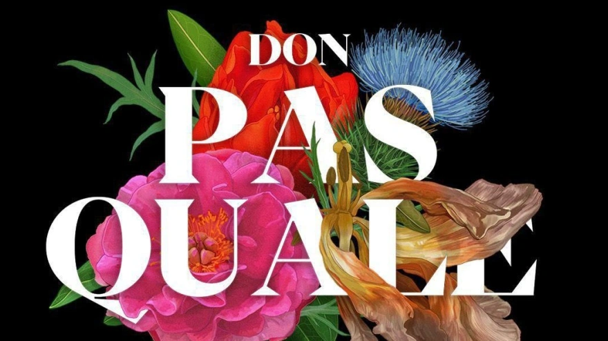 Cartel de la ópera Don Pasquale de Donizetti que produce Juventudes Musicales de Granada
