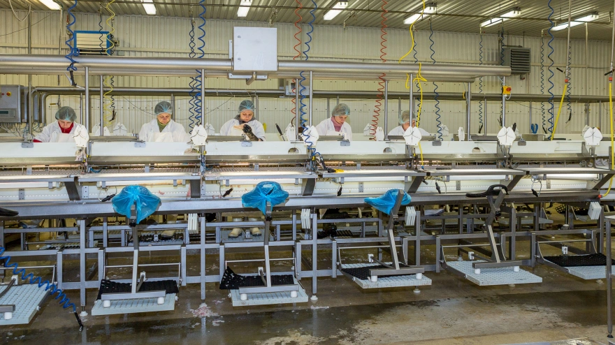 Varios trabajadores en una fábrica