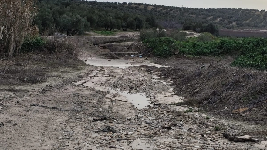 Jaén registra 347 incidencias por la borrasca Leonardo y 15 carreteras permanecen cortadas