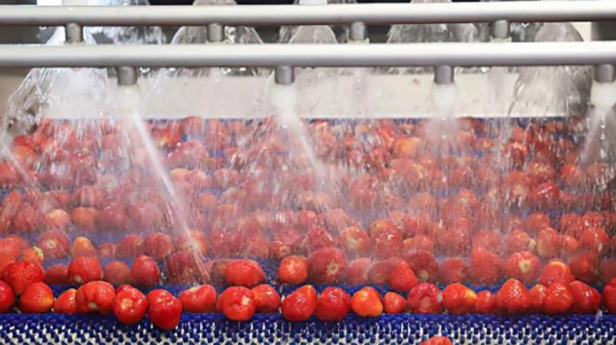 Proceso de limpieza de productos agrícolas