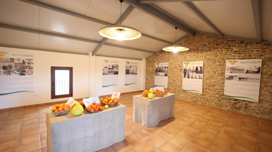 Burriana cuenta con un nuevo museo que pone en valor la naranja