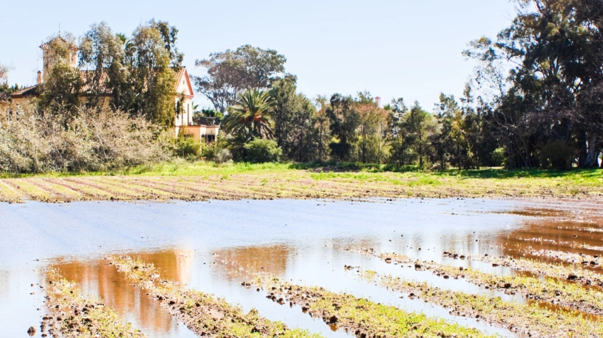Campos inundados con cultivos arruinados