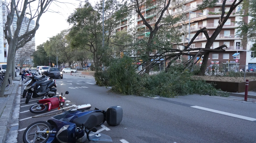 Según los datos de las estaciones meteorológicas de Meteocat, el registro más elevado se ha localizado en Puig Sesolles ({Montseny}), con 167 km/h