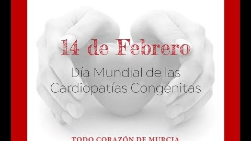 Actividades de la Asociación Todo Corazón
