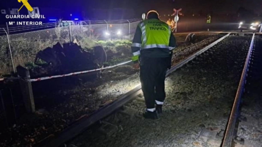 ACCIDENTE TREN TALAVERA