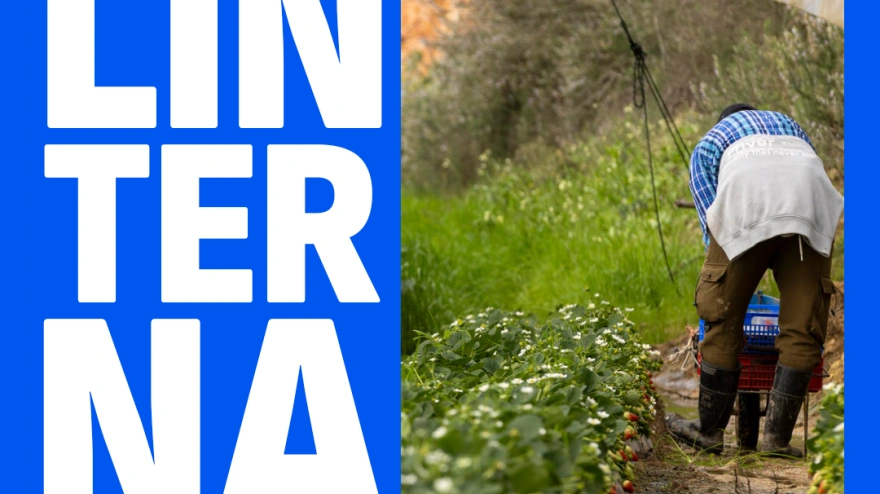 ¿Cómo podría afectar el temporal a la cesta de la compra?