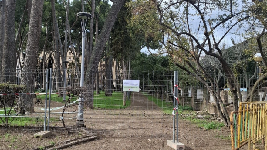 El pinar se cierra como medida preventiva