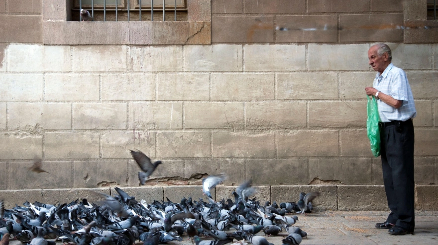Un anciano esparce suavemente comida para las palomas en el tranquilo patio de la Biblioteca de Catalunya en Barcelona.