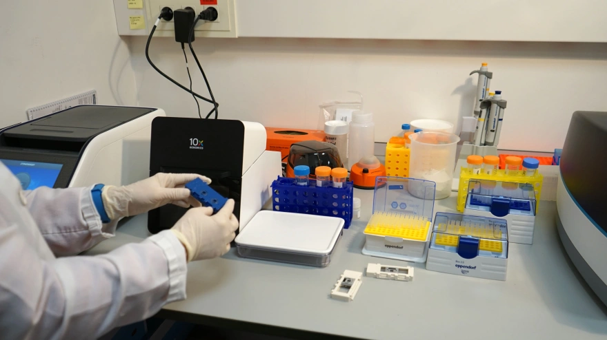 Trabajo de investigación en el CIC de Salamanca