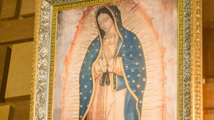 La pedagogía divina de Guadalupe