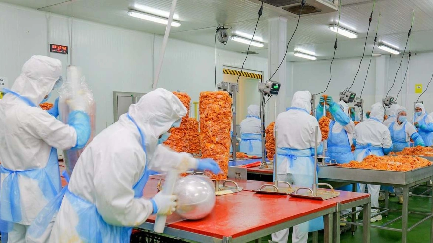 Elaboración de kebab en la empresa Ozturk Quebab en Lominchar