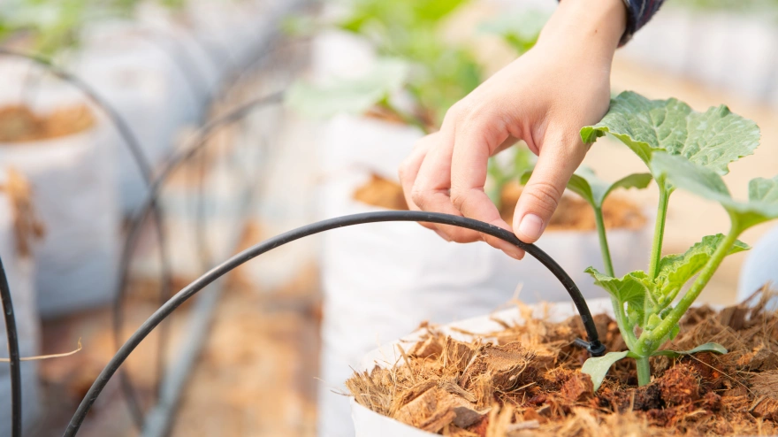 Las empresas de tecnologías de riego de la comarca de Lorca, afectadas por la guerra en Oriente Próximo